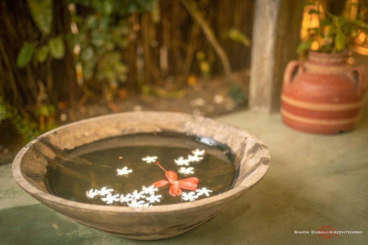 Pousada Spa Oasis Caraíva Zewnętrze zdjęcie