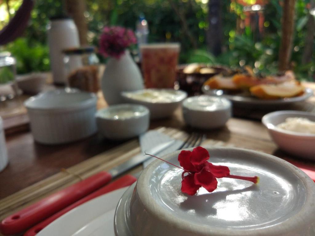 Pousada Spa Oasis Caraíva Zewnętrze zdjęcie